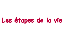 les etapes de la vie